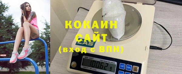 индика Абаза