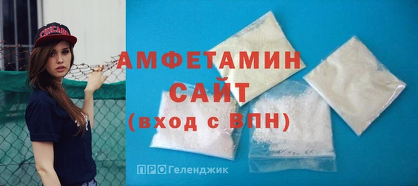 индика Абаза