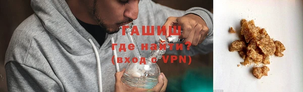 индика Абаза