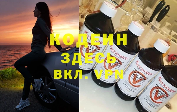 индика Абаза