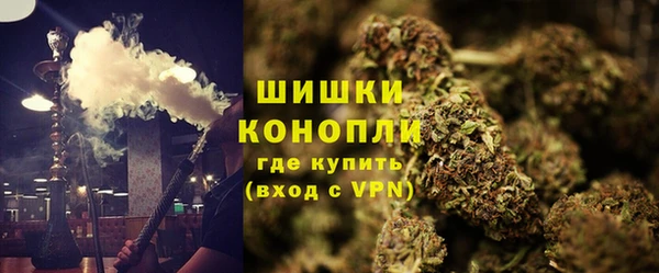 крисы Абдулино