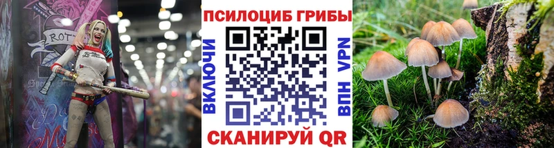 наркошоп  Зеленокумск  Псилоцибиновые грибы Cubensis 
